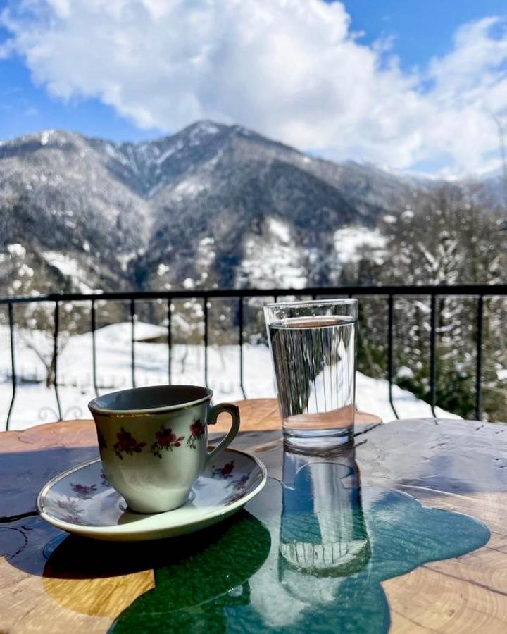 Riona Dag Evleri Çamlıhemşin Exterior foto