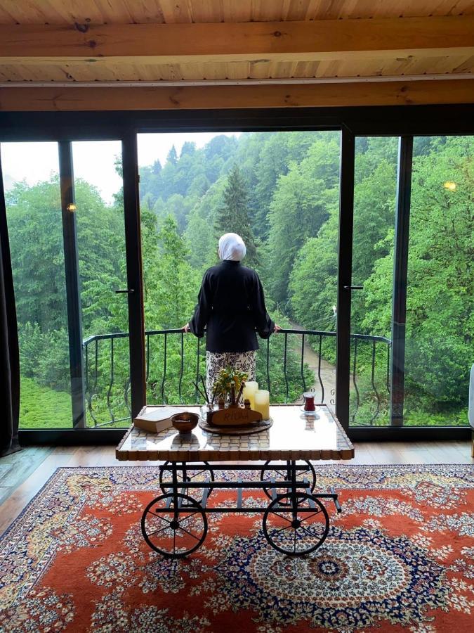 Riona Dag Evleri Çamlıhemşin Exterior foto