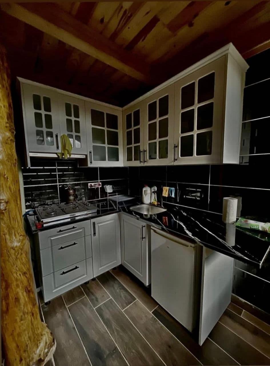 Riona Dag Evleri Çamlıhemşin Exterior foto